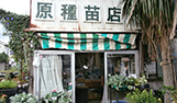 原種苗店